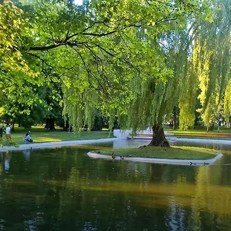 Travelers Haven Spacious 70m2 2 Bedrooms Balcony Old Town Area